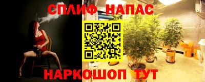 мдпв Братск