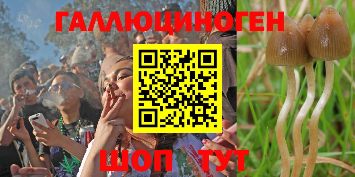 Галлюциногенные грибы Psilocybe  Вход с VPN  Дедовск 